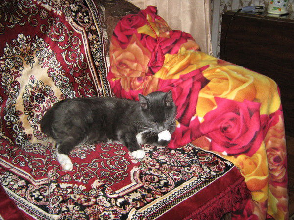 Вадим Копылов