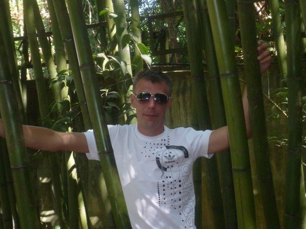 Александр Лебедев