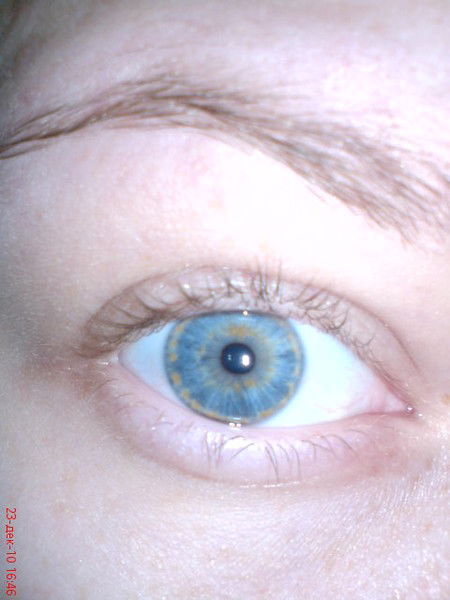 Саша Кушлянская