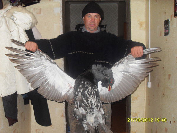 Бывалин Владимир