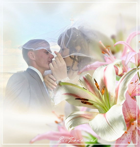 Галина Толокнова