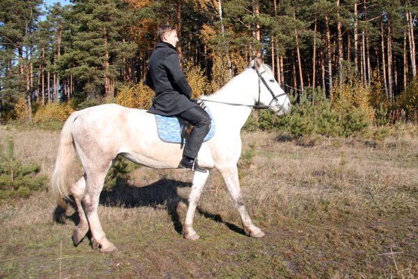 Александр Соловьёв