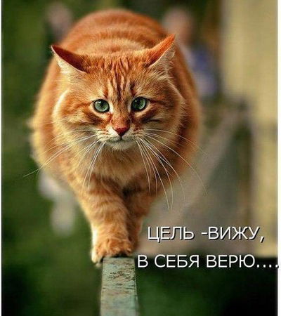 Сергей Кириченко