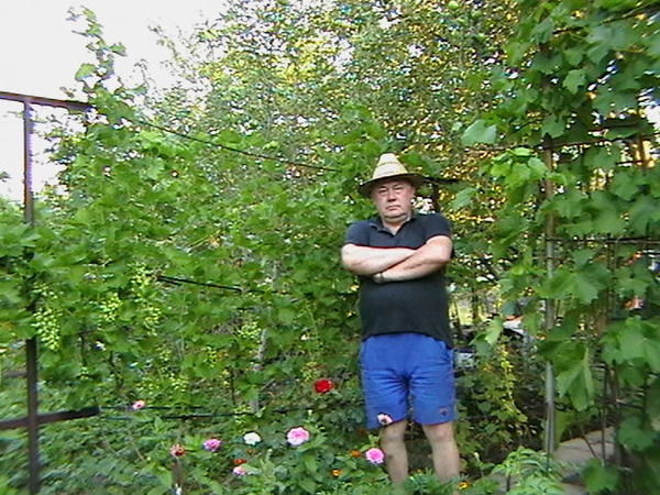 Алим Маклюк