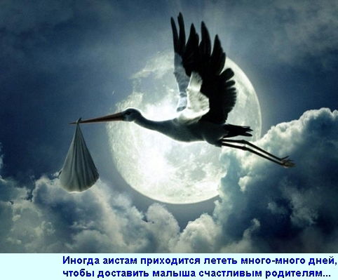 Алексей Кириленков