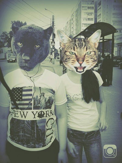 Илья Михайлов