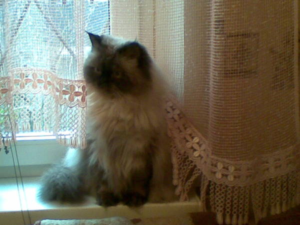 Наталья Демидова