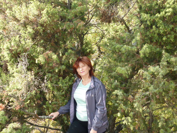 Ирина Бахарева