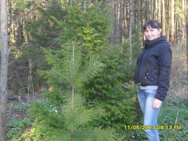 Эльвира Сторожева