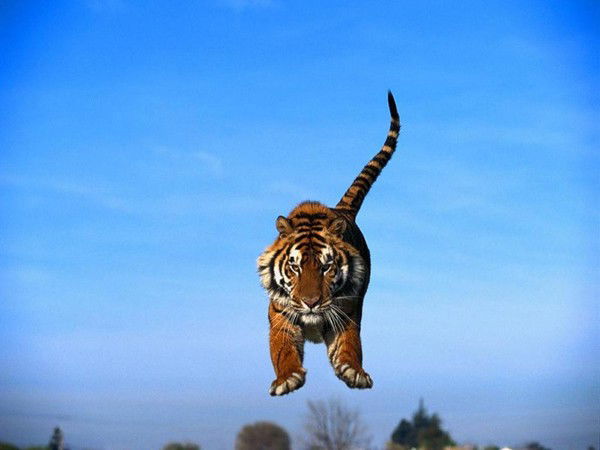 Ришатик100%* Сарваров