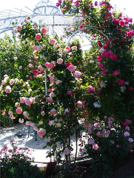 Надежда Листратова