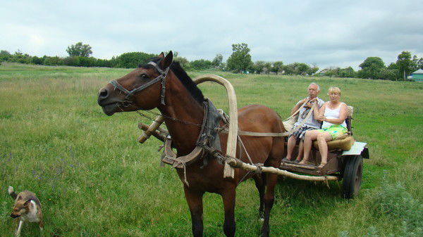 Валерий Демин