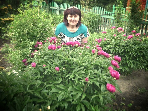 Ирина Ластовка