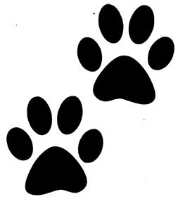 Виктория Pidgorna