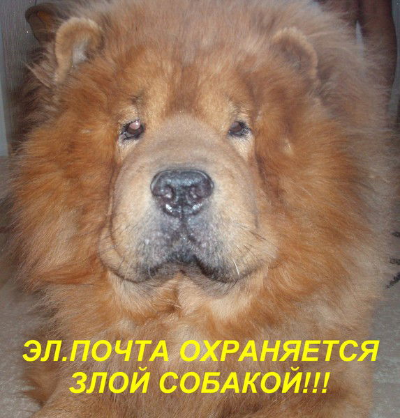 Владимир Олегович Лапин