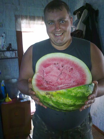 Андрей Тарасенко