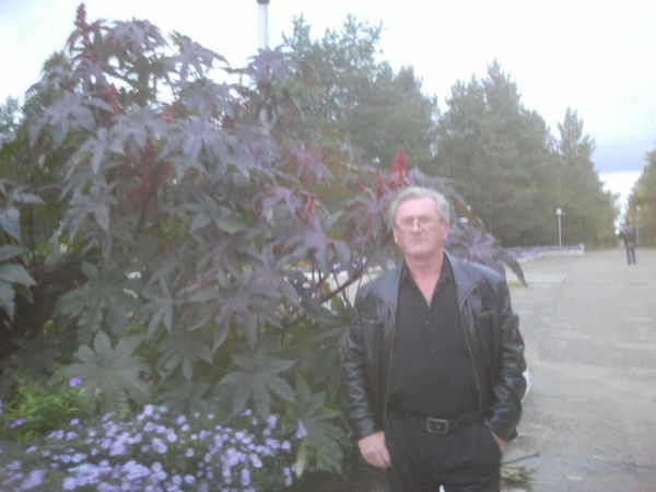 Александр Ефимов