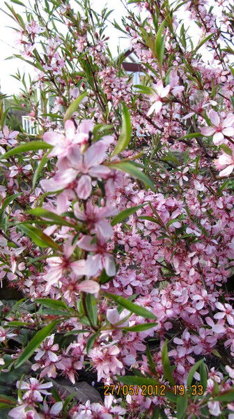 Наталья *****