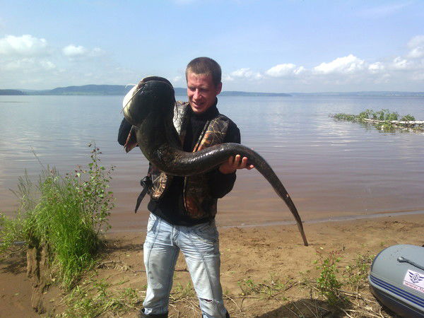 Геннадий Малов