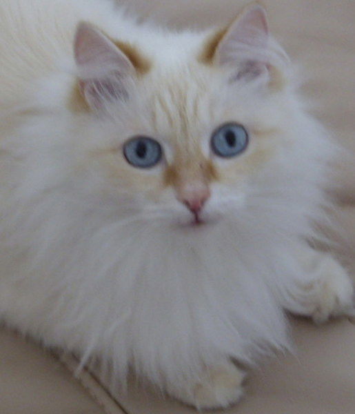 Ооо Регионинвест