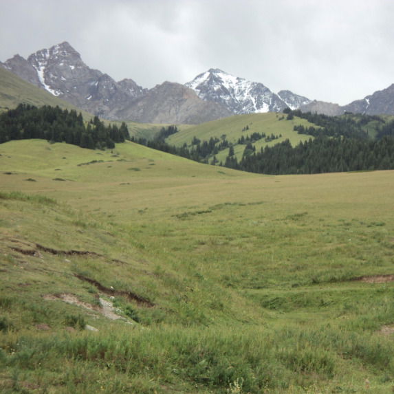 Алишер Мойдунов