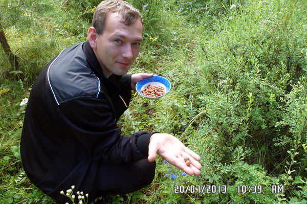 Анатолий Купавцов