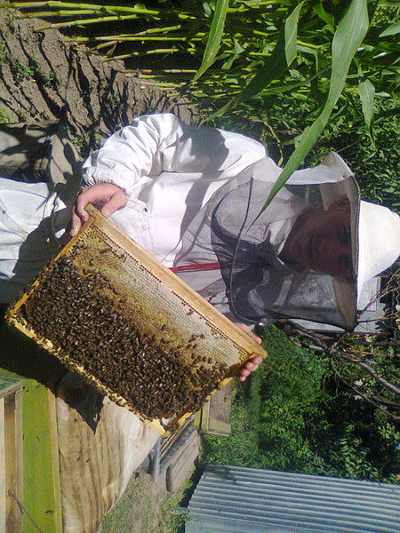 Владислав Пименов