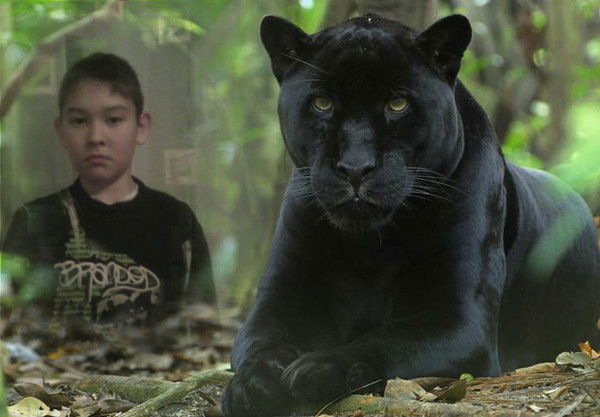 Дамир Мерханов