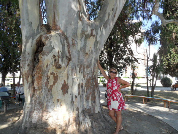 Наталья Воронина