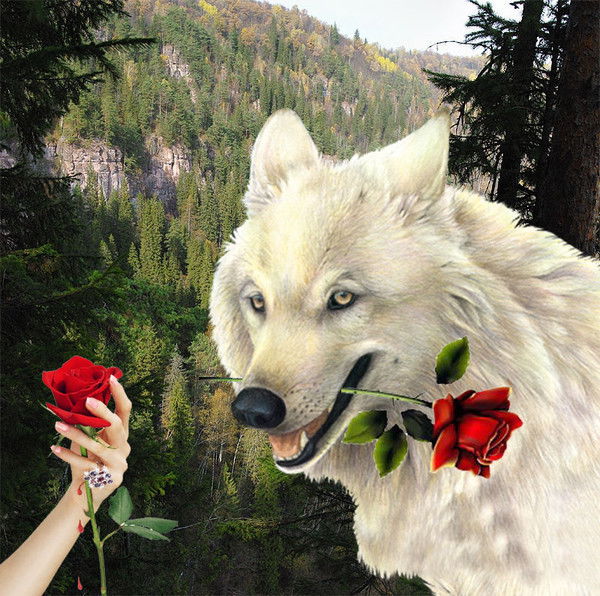 Аличон Каримов