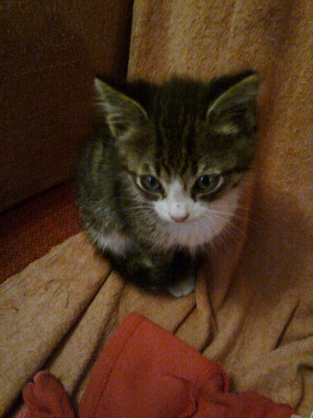 Гульнара Жусупаева