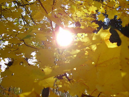 Юлия Иванова