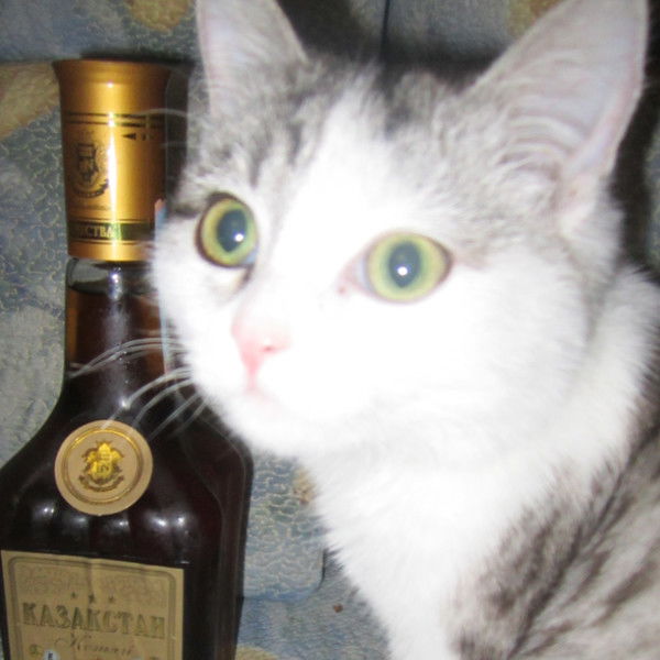 Александр Клишев