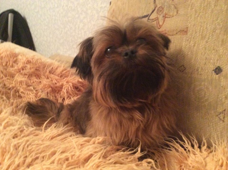 Елена Хамитова