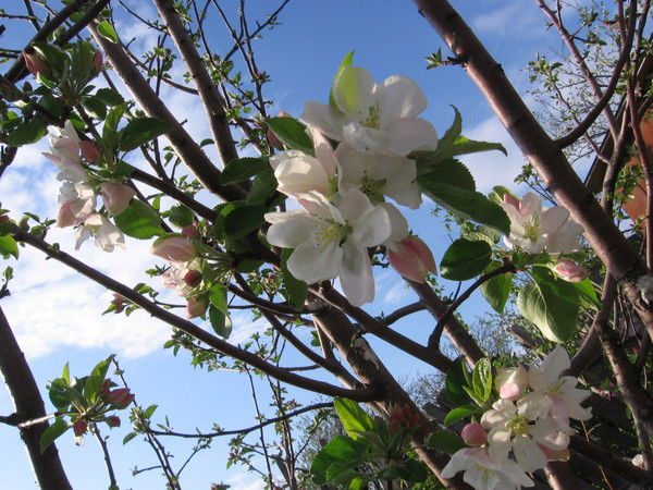 Михаил Тулин