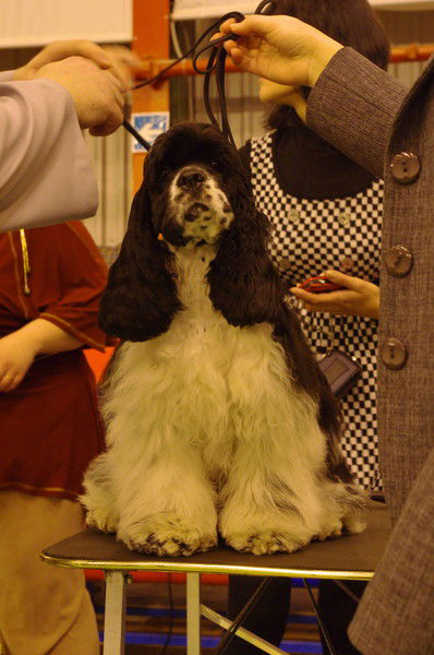 Ольга Николаева