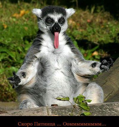 Владимир Воробьев