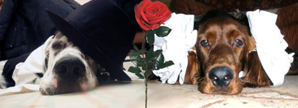 Марина Калганова