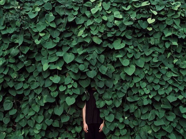 ░▒▓█ Lizuren █▓▒░