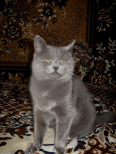 Алена Красюк