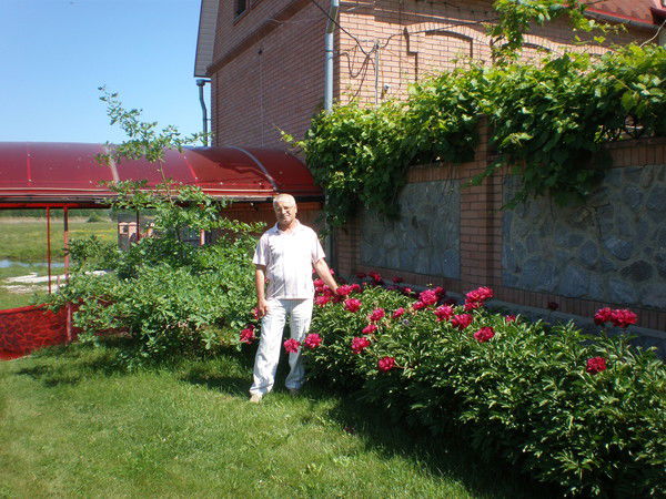 Александр Кривенький