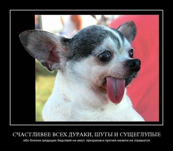 Ярослав Авдеев