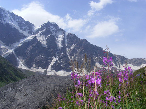 Роман Левашов