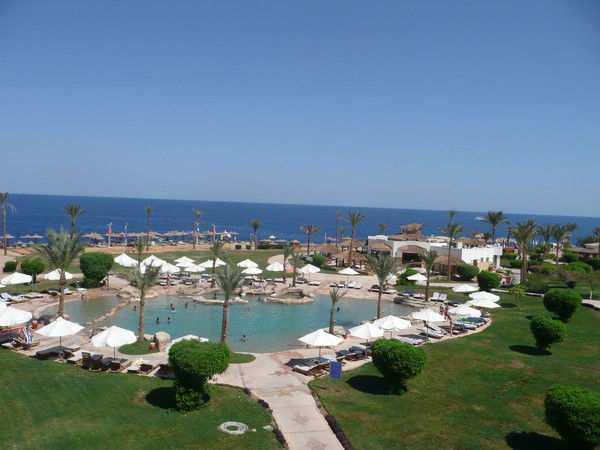 Светлана Суфиева (Старшова)