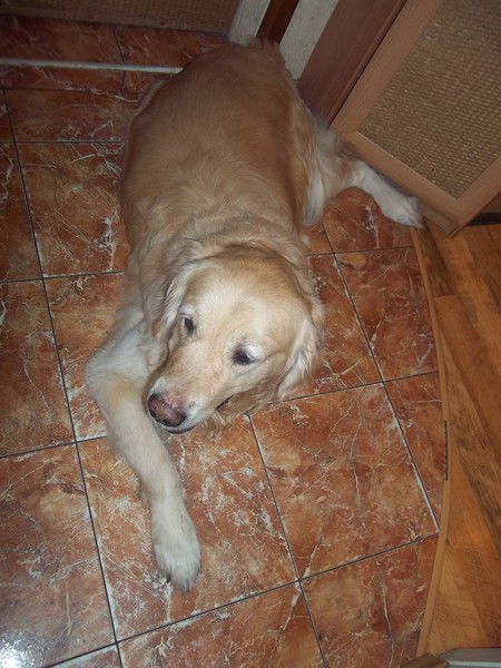 Екатерина Рыбалко