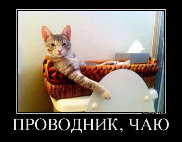 Роман Олейник