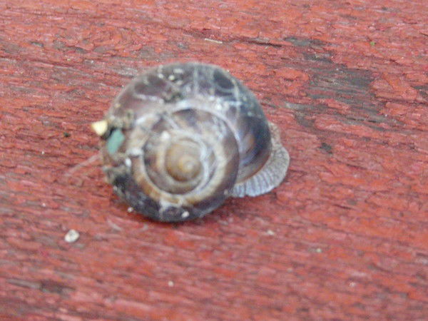 Андрей Юдин