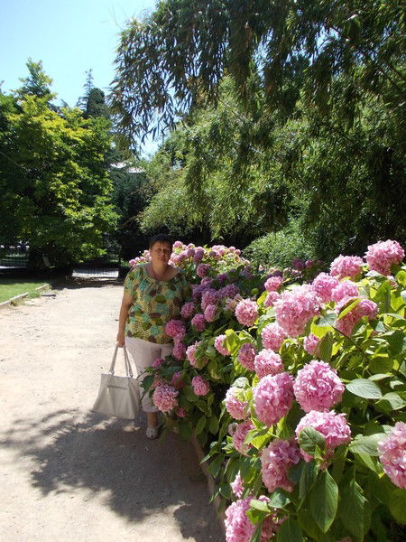 Елена Шайдорова