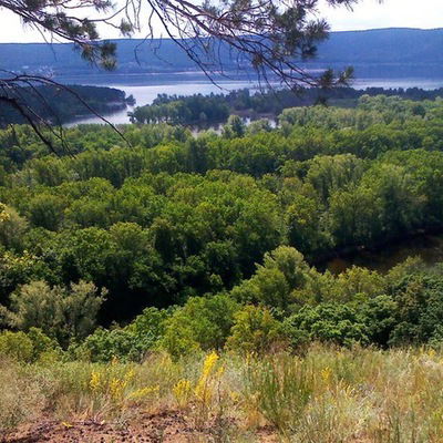 Сергей Фролов