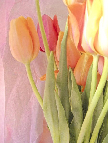 Мадина Айдарова